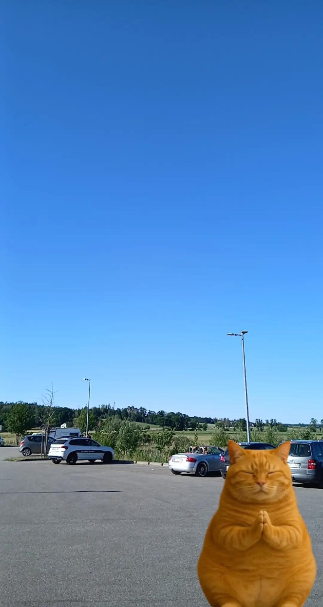@NK⚡
