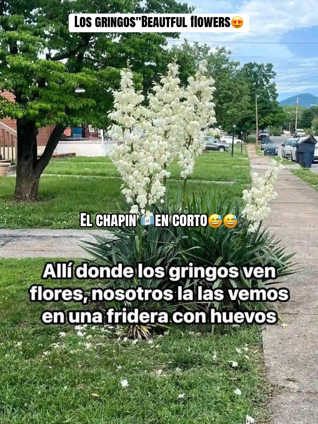 @🍋🔋2"DeStInO&rdquo;3🔥 