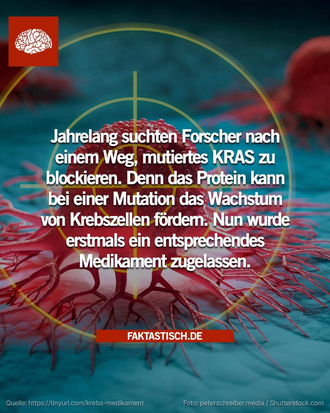 @Faktastisch