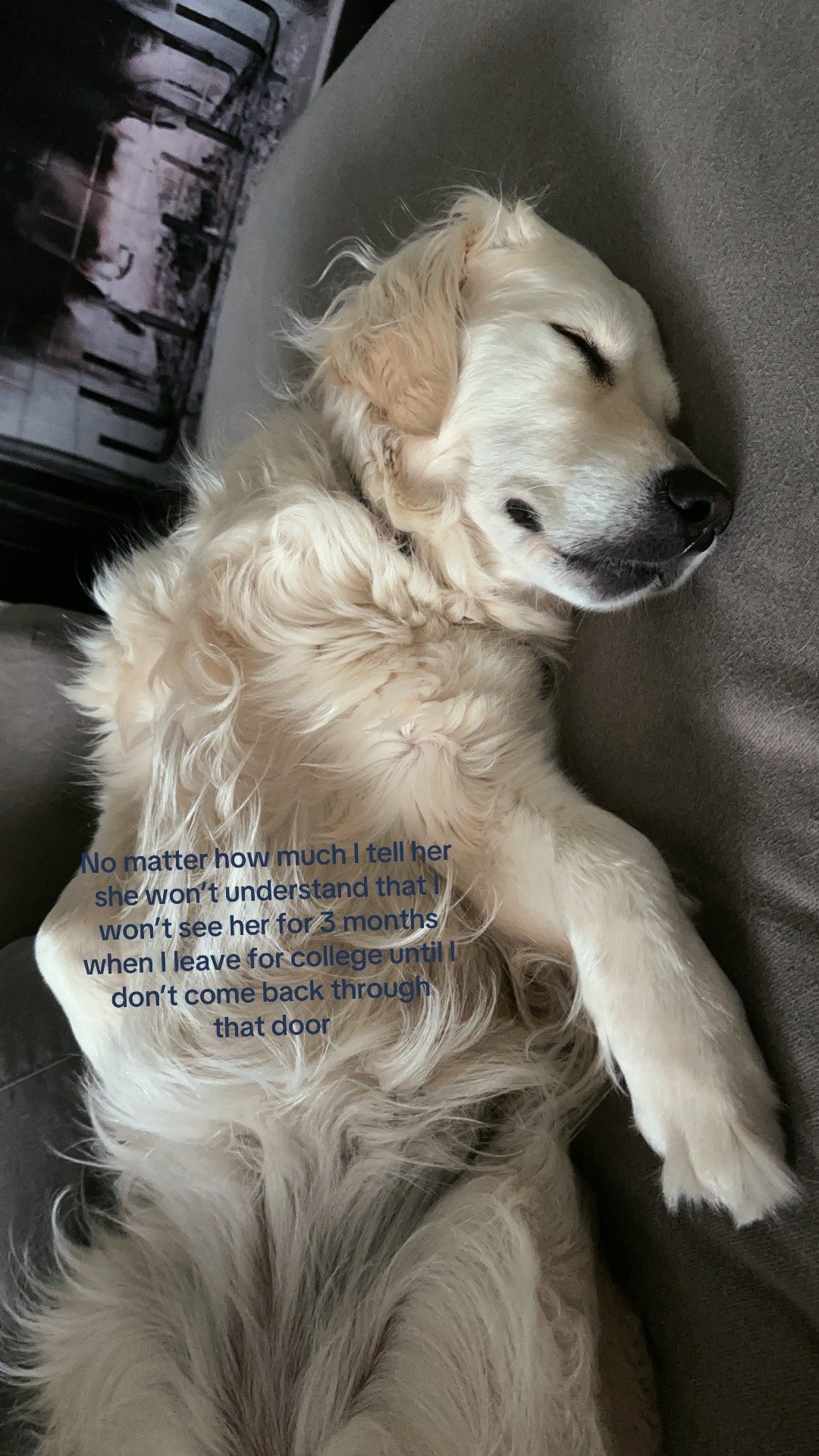 @jenna
