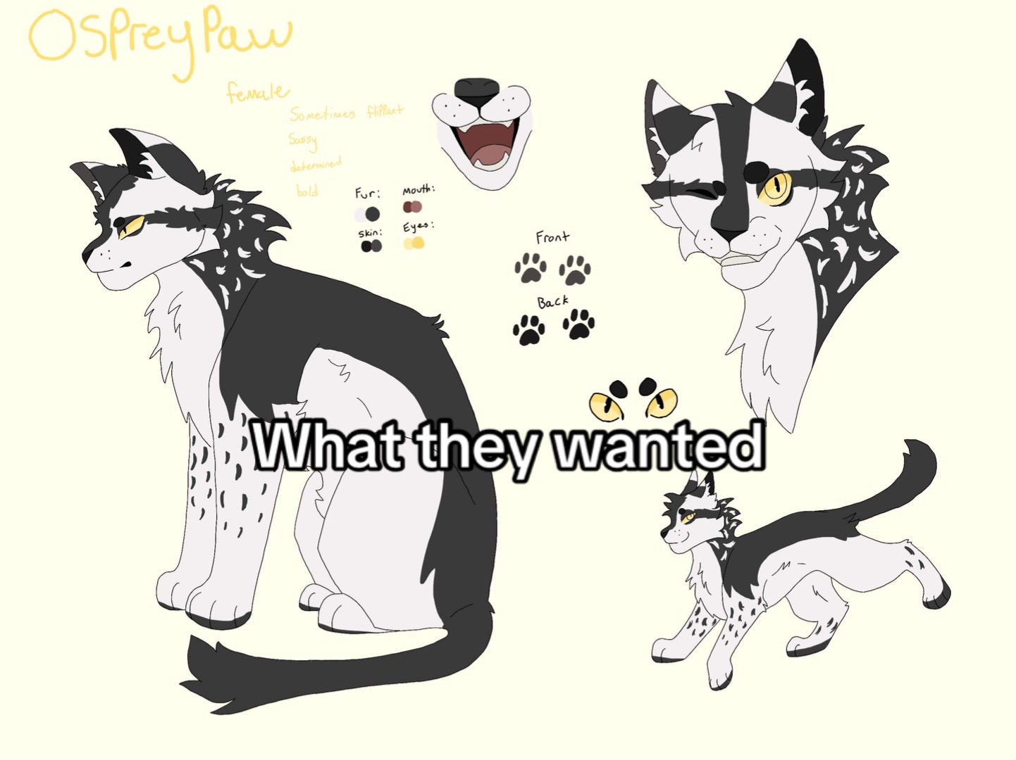 @Cool Cat COMMISSIONS OPEN