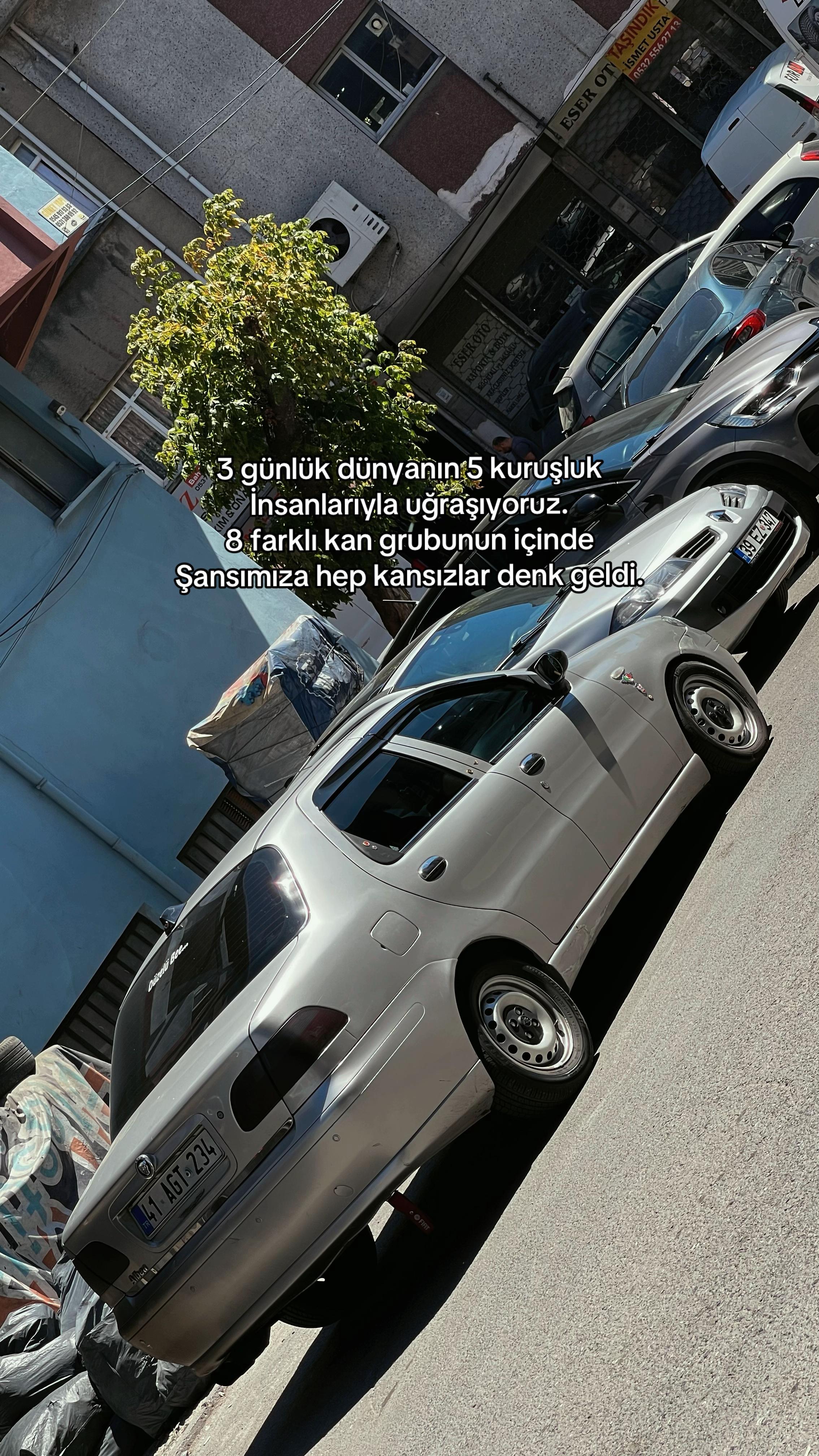 @albela.tr