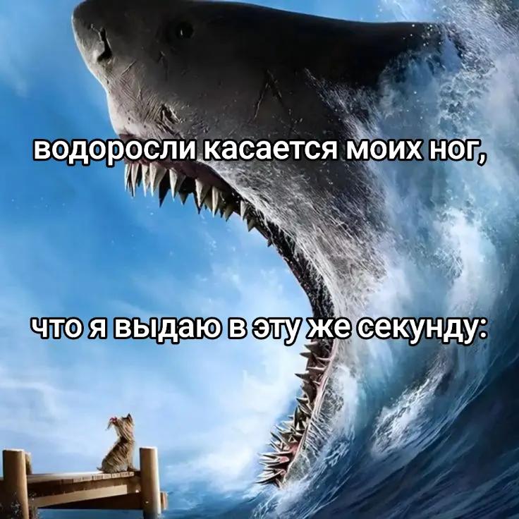 @фукалка