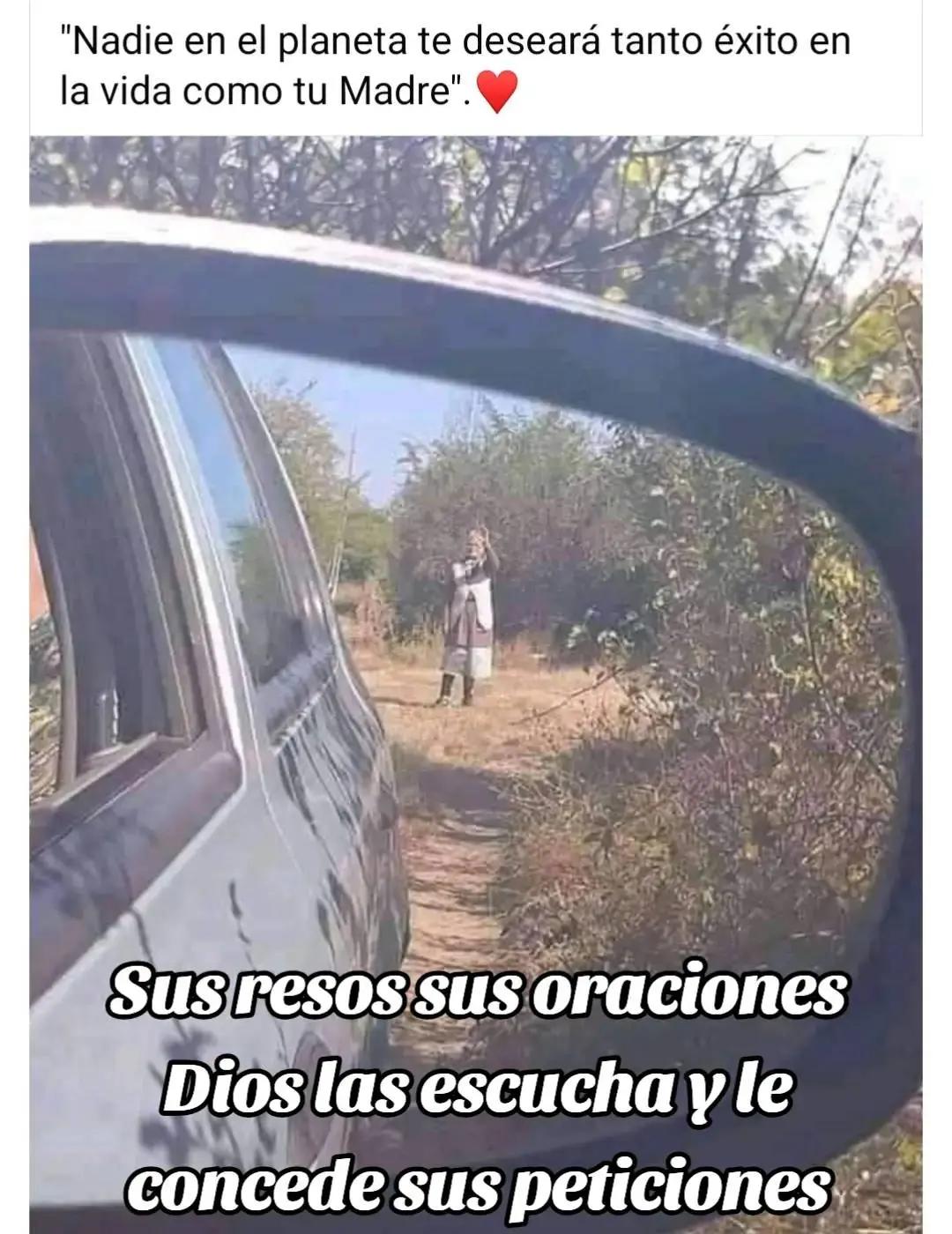 @FERNANDOJr.🧔&zwj;♂️S&Aacute;NCHEZ🐺🇭🇳