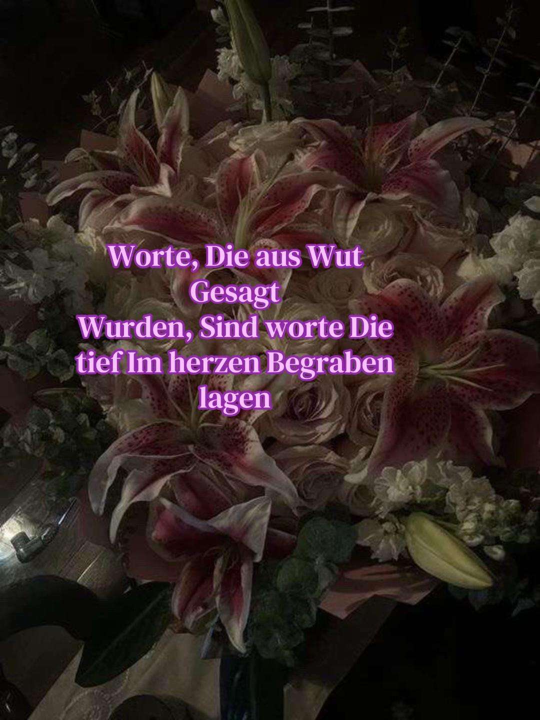 @Lilly🫦☺️