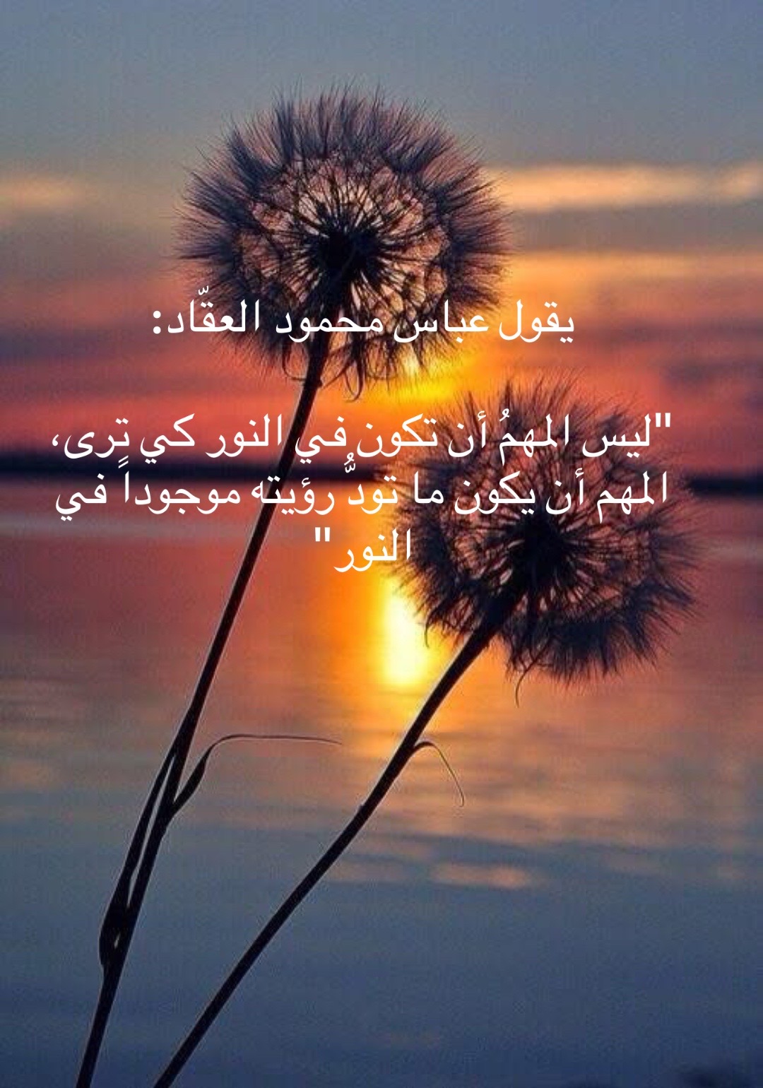 @Zaid Brifkani MDزيد بريفكاني