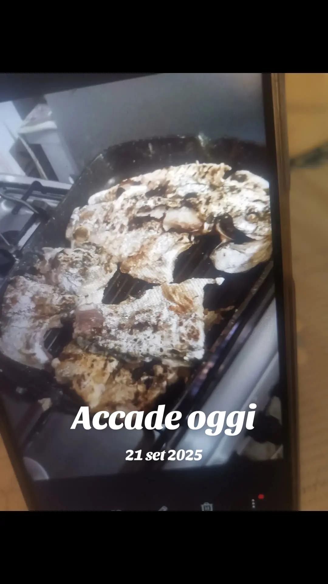 @mihaela