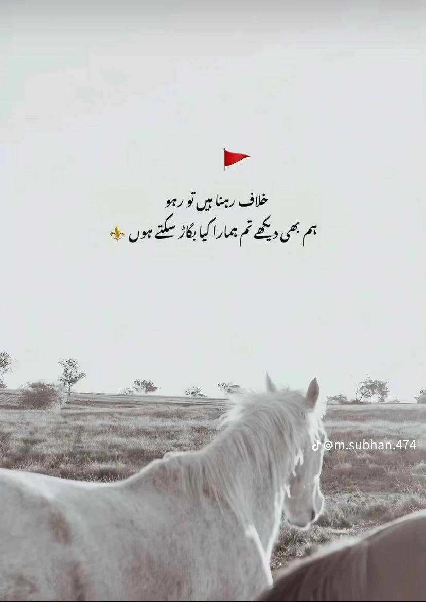 @Abdullah rehmani 💫🥰
