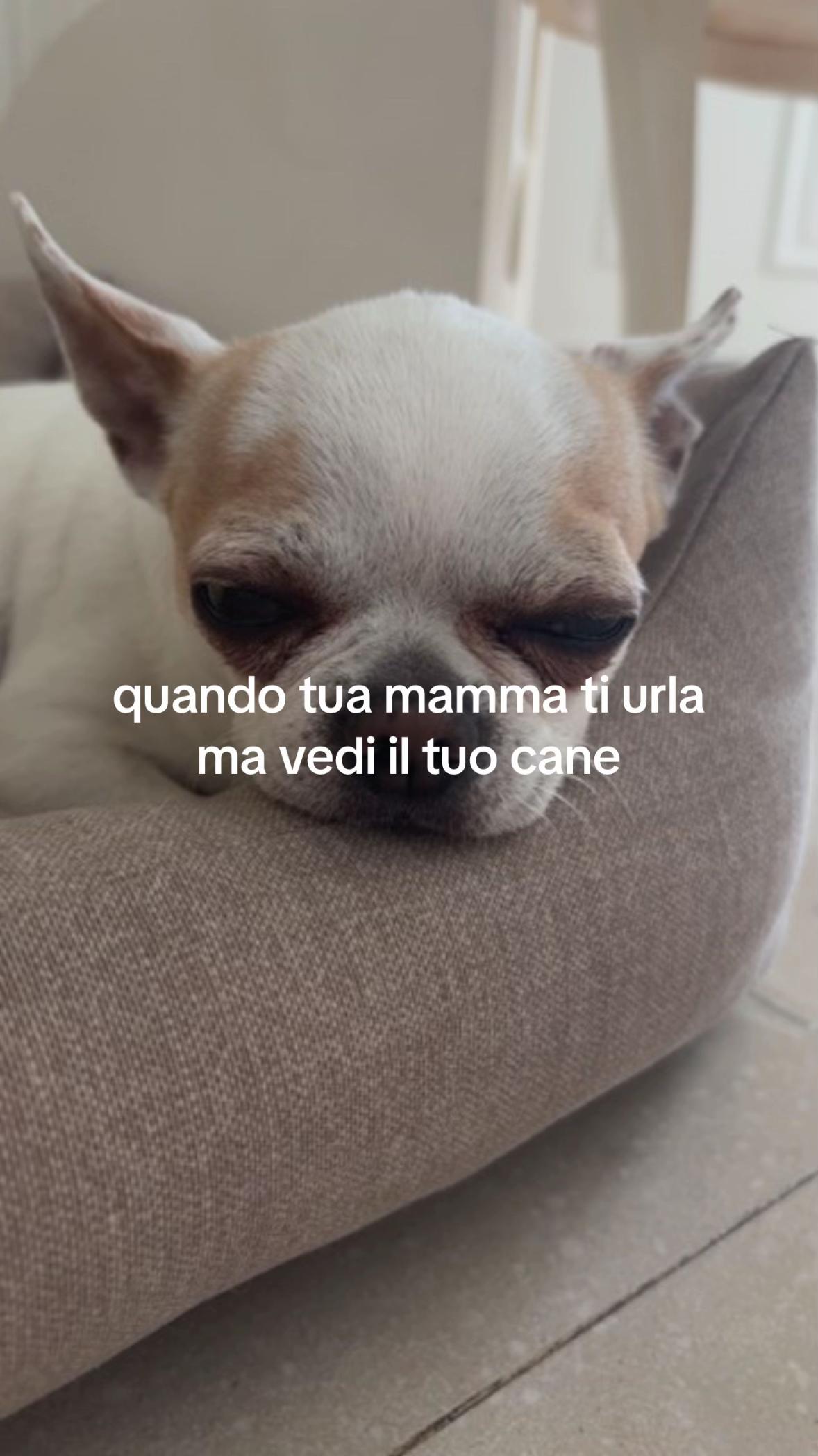 @FATIMA MARINO🩷🩷🩷