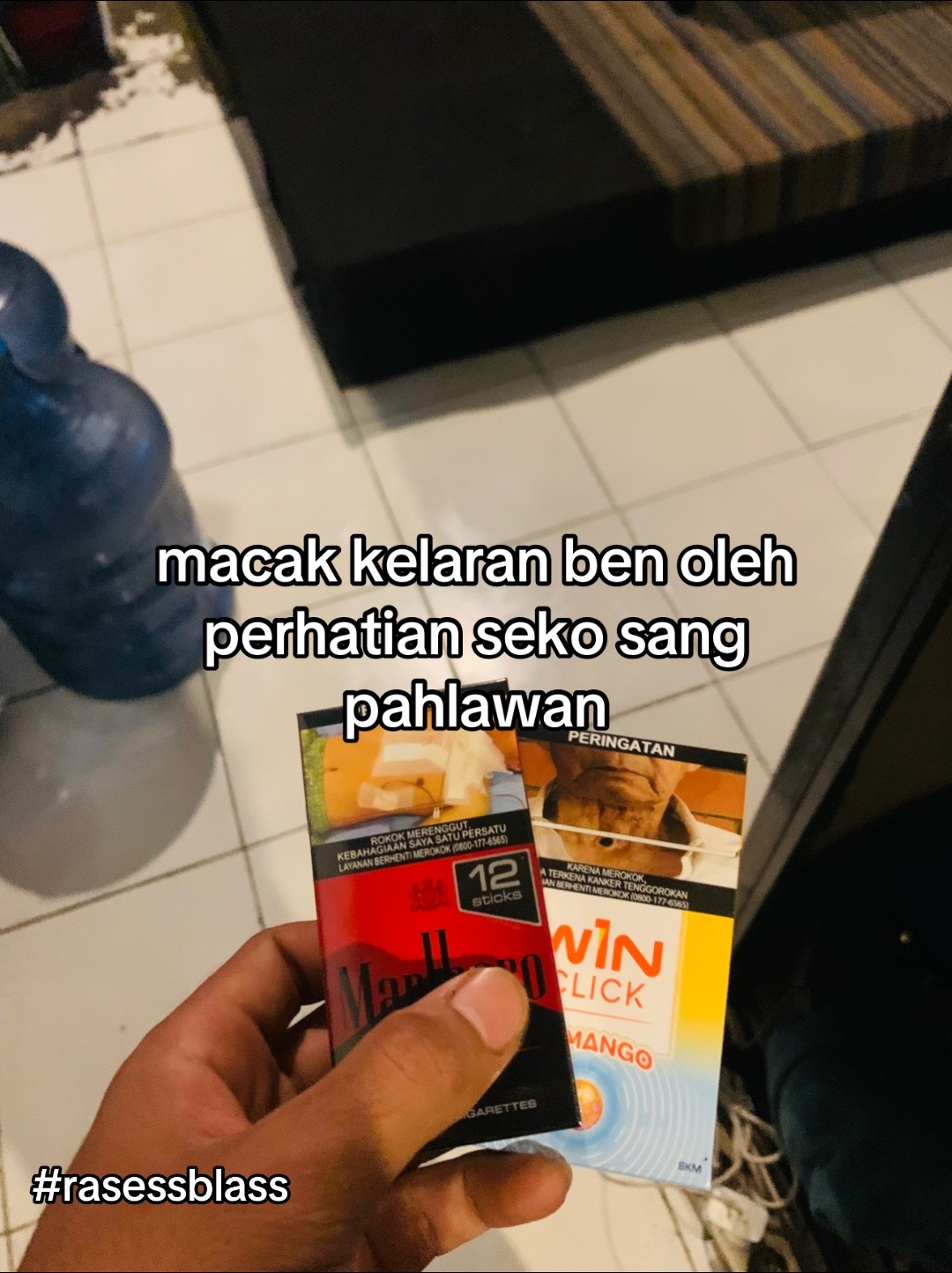 @Mio Sambeng🚀