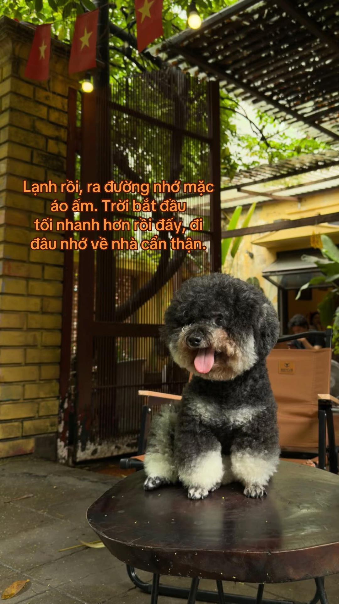 @Bún Bò