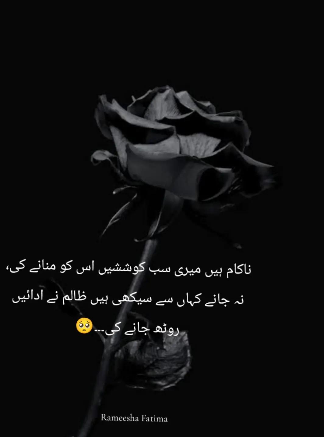 @Rameesha Fatima