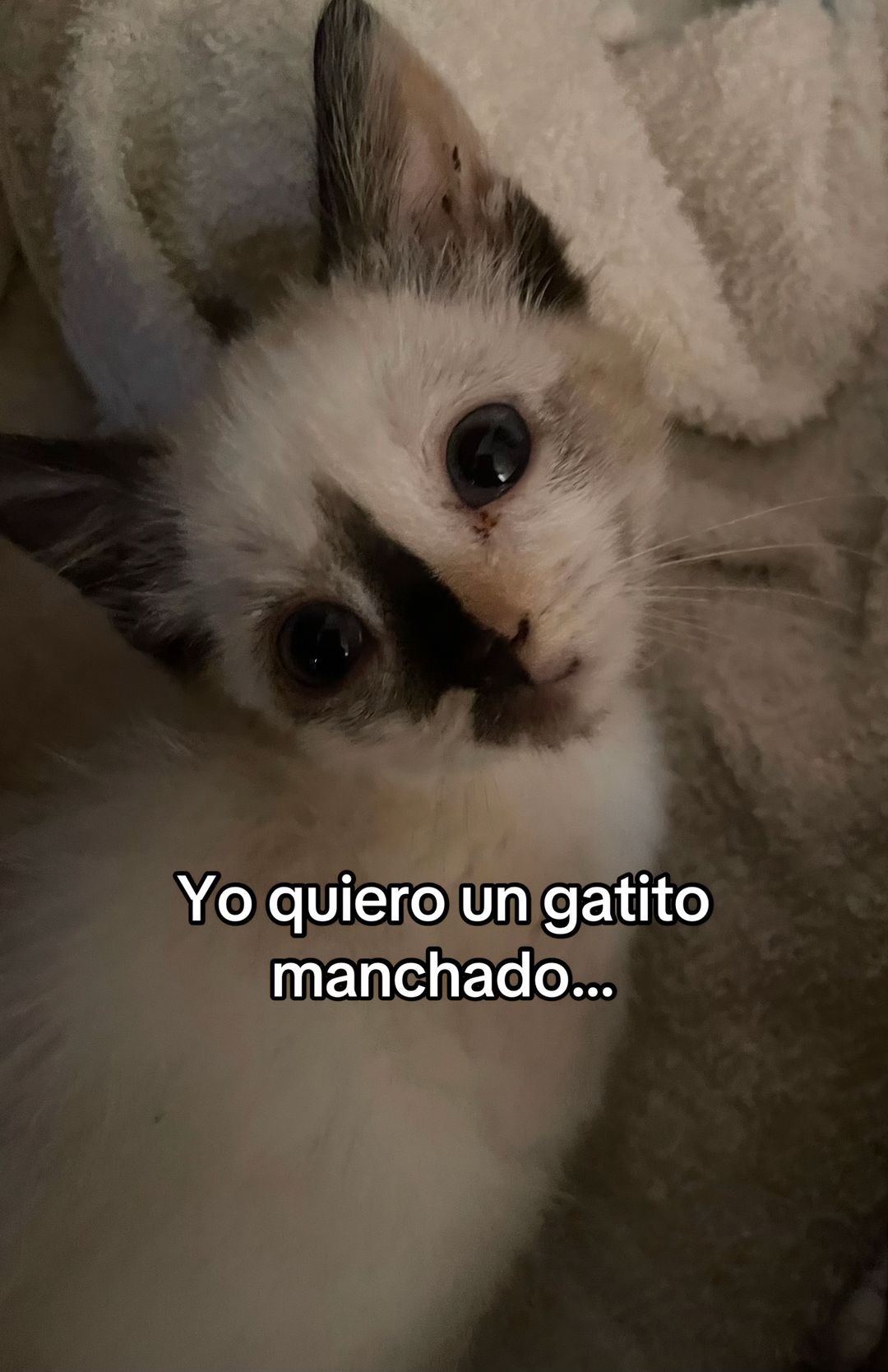 @Ñañundo 2.0