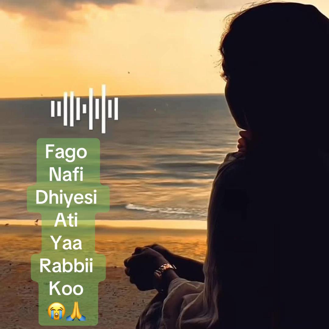 @TakittiAbbaadhoo♥️4💚3♥️0🌳