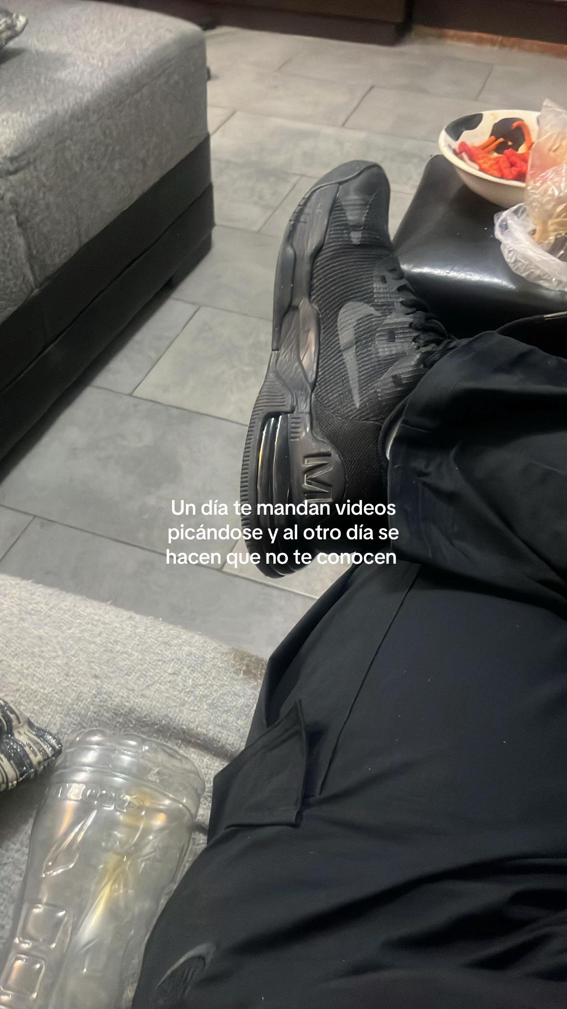 @Pollito_conpapasjaja
