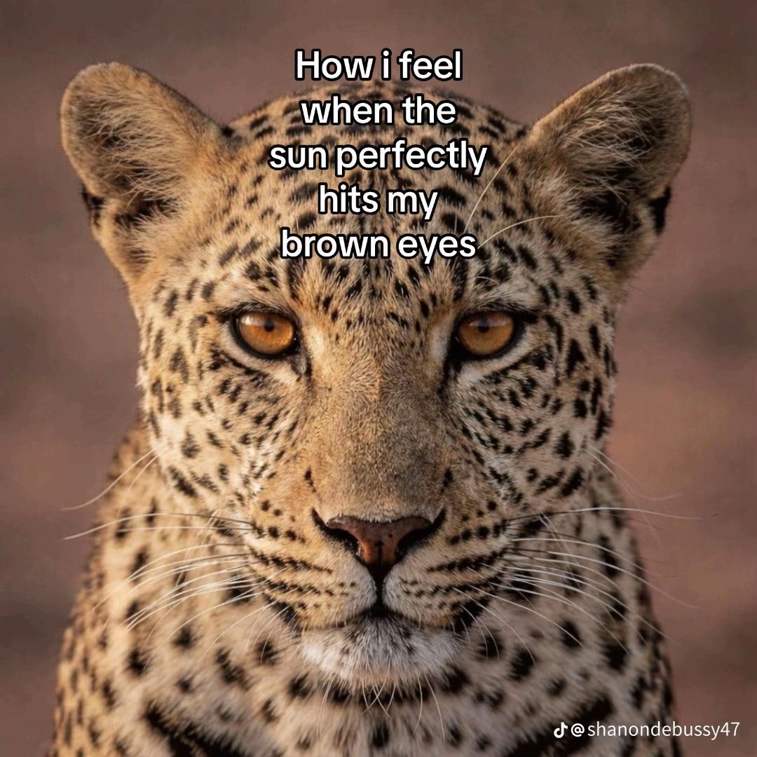 @𝓴𝓪𝓽𝓲𝓮ꨄ︎