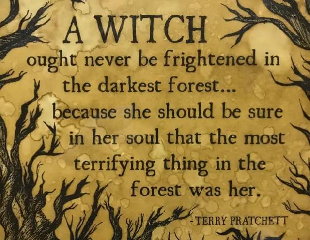 @Author L Meredith McMullan 📚