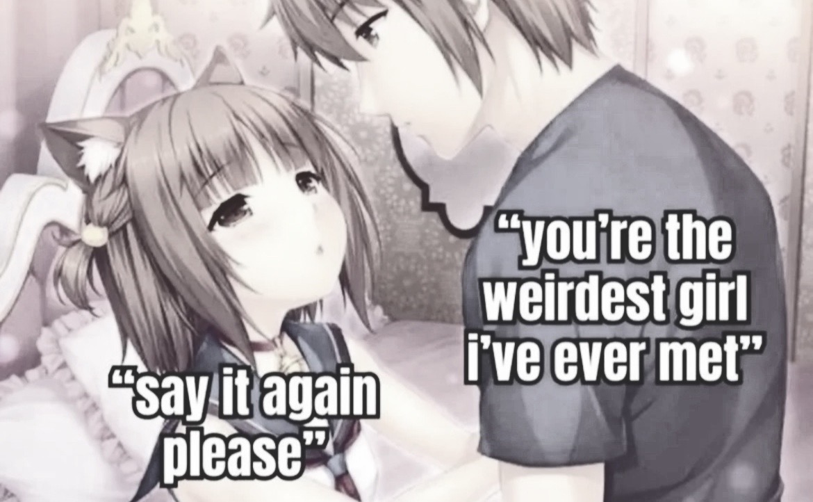 @miya