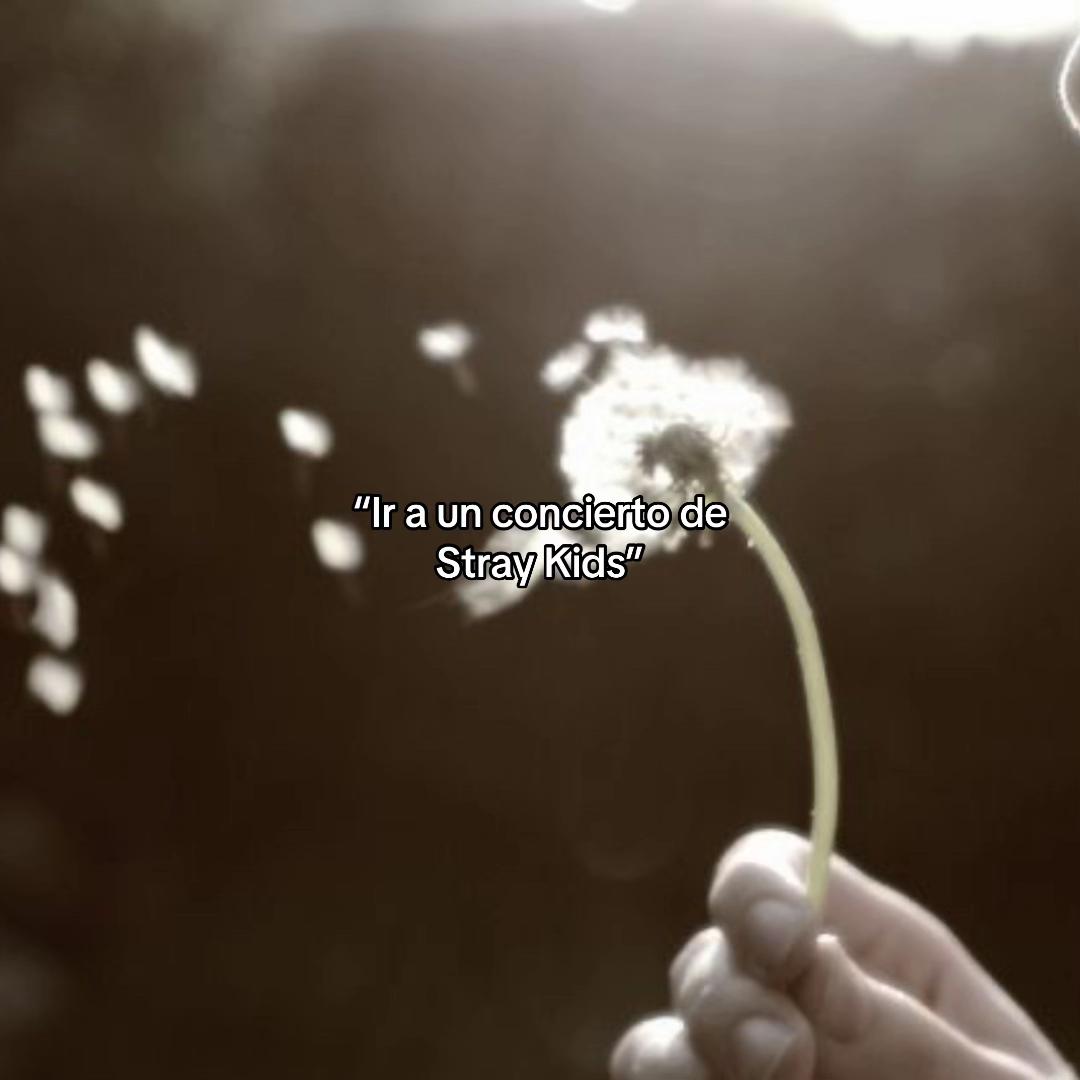 @Solei