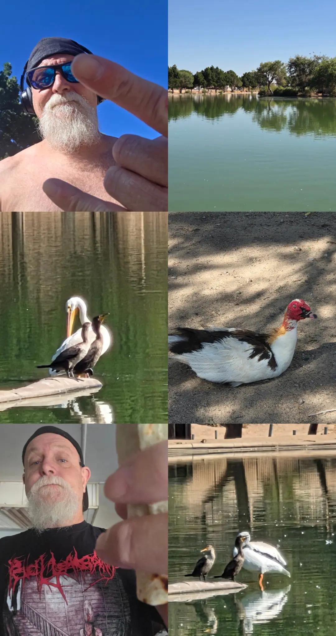 @Dirty Dave 71 ❌️