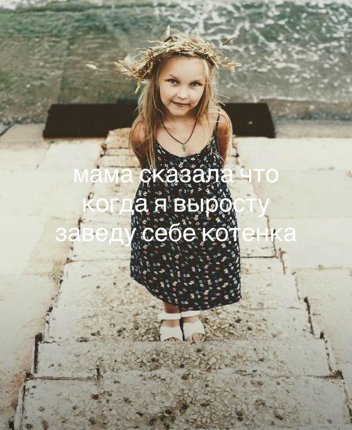 @motya