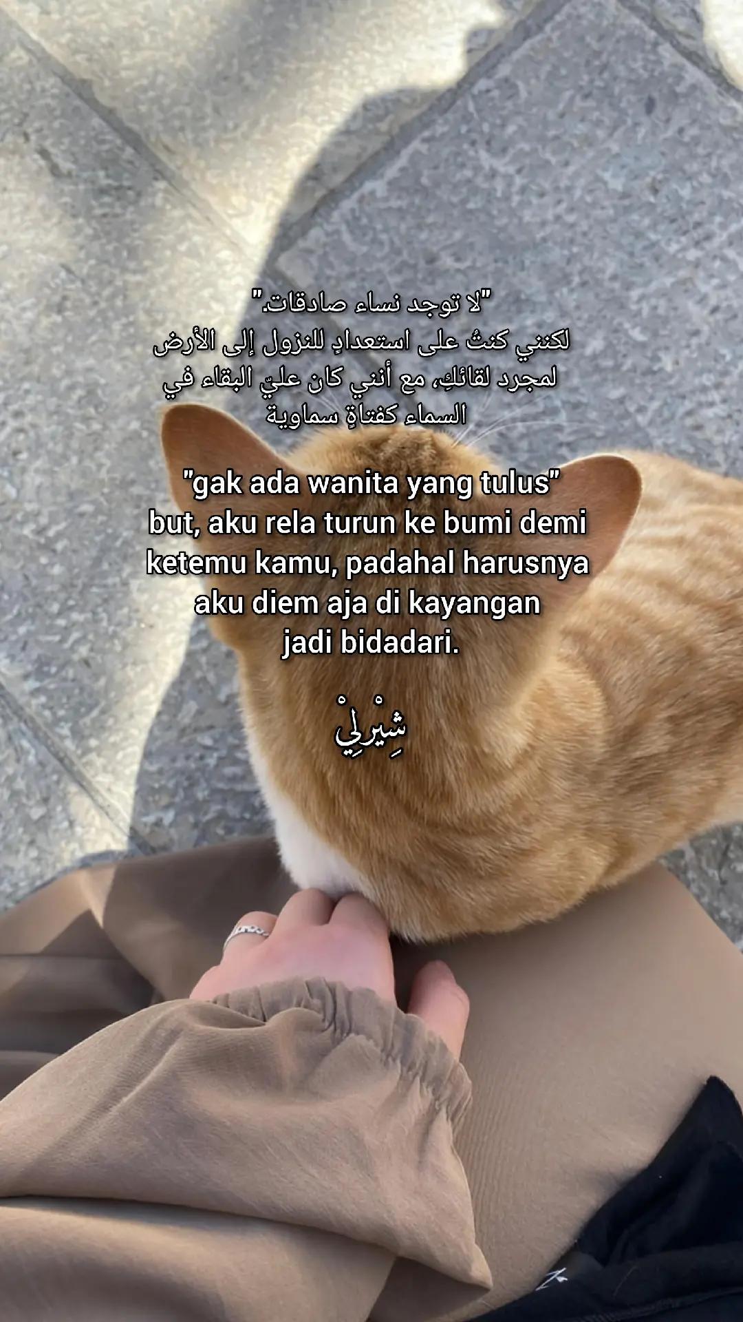 @🤎Sherly🤎