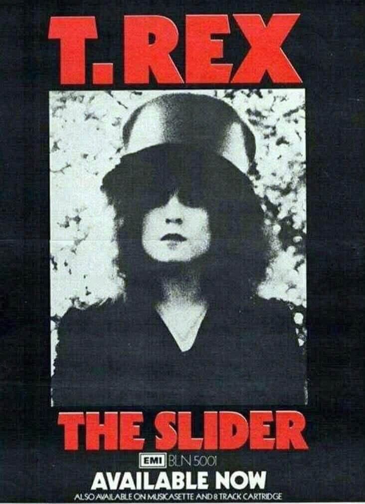 @vinyl_maiden