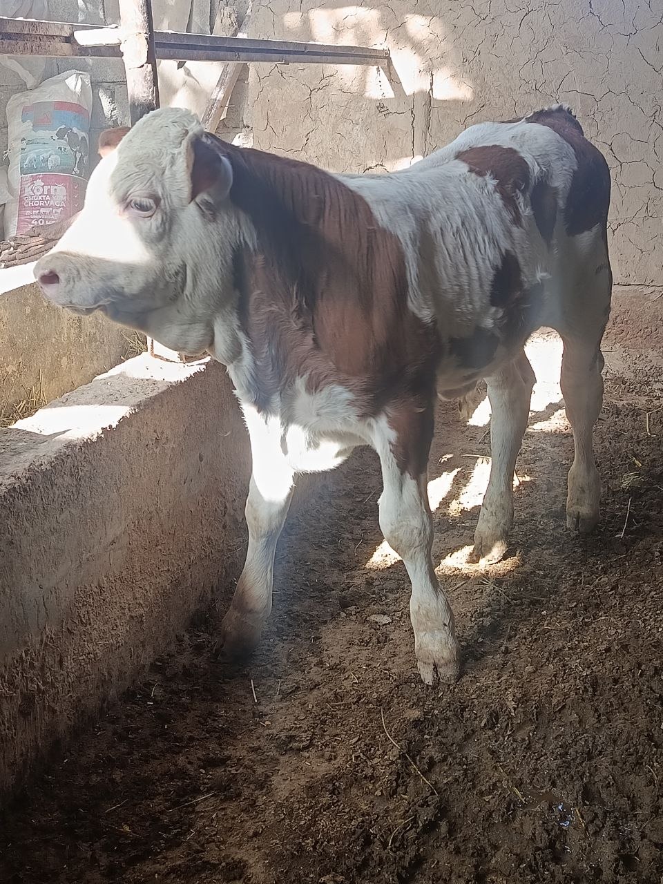 @Azizbek Mexliyev