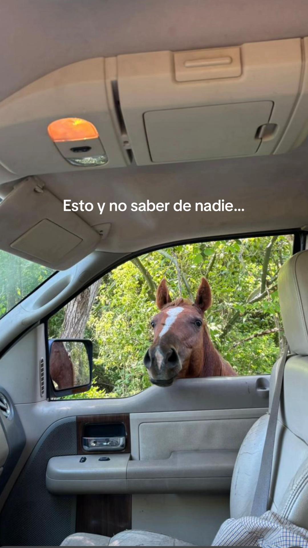 @La Buchona🌵🧿🪬