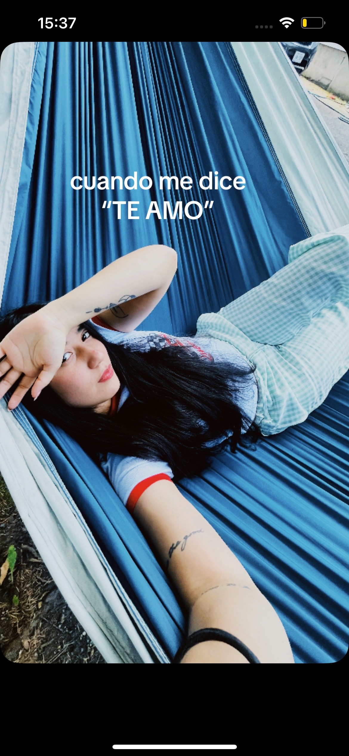 @alxvite