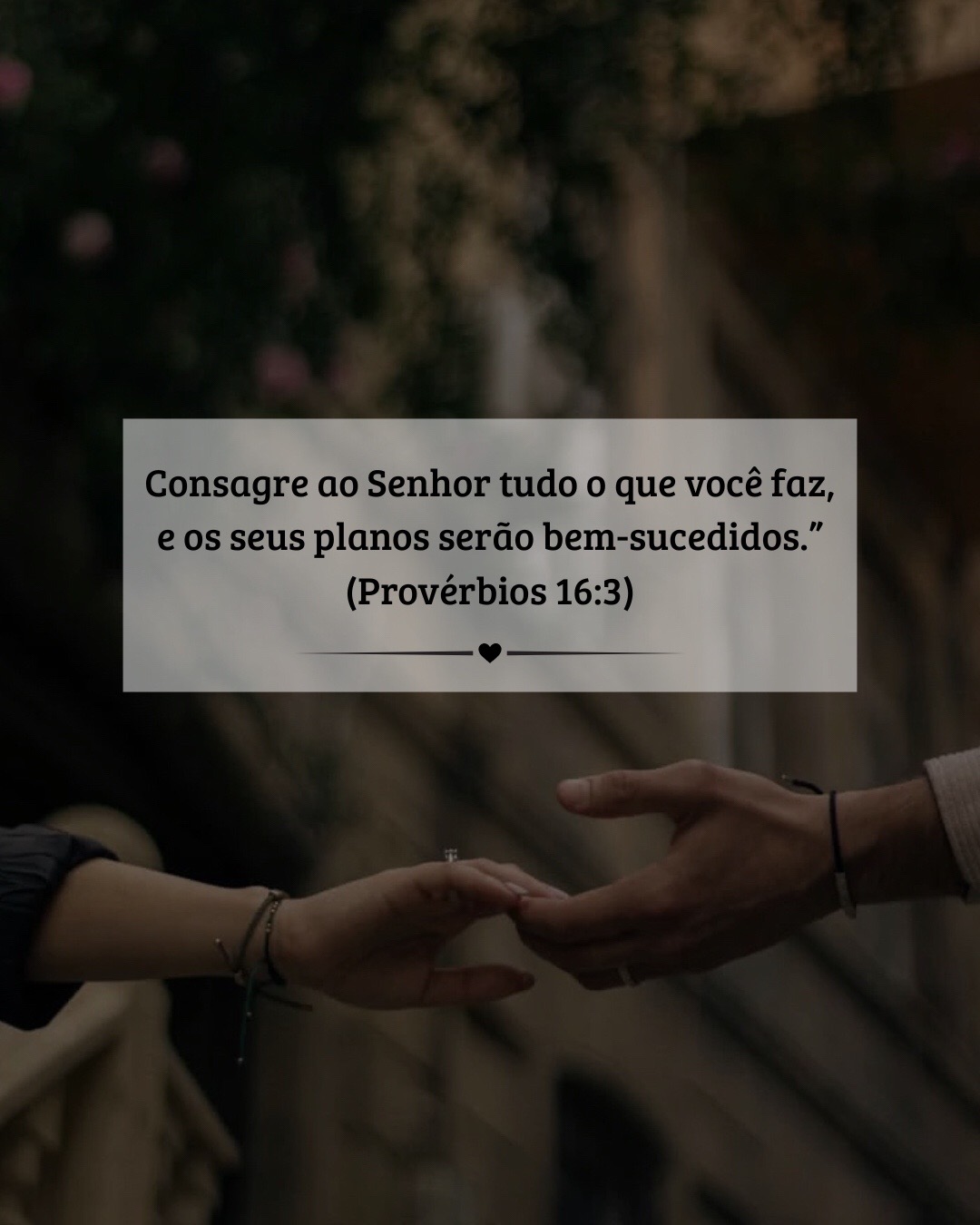 @Frases de amor