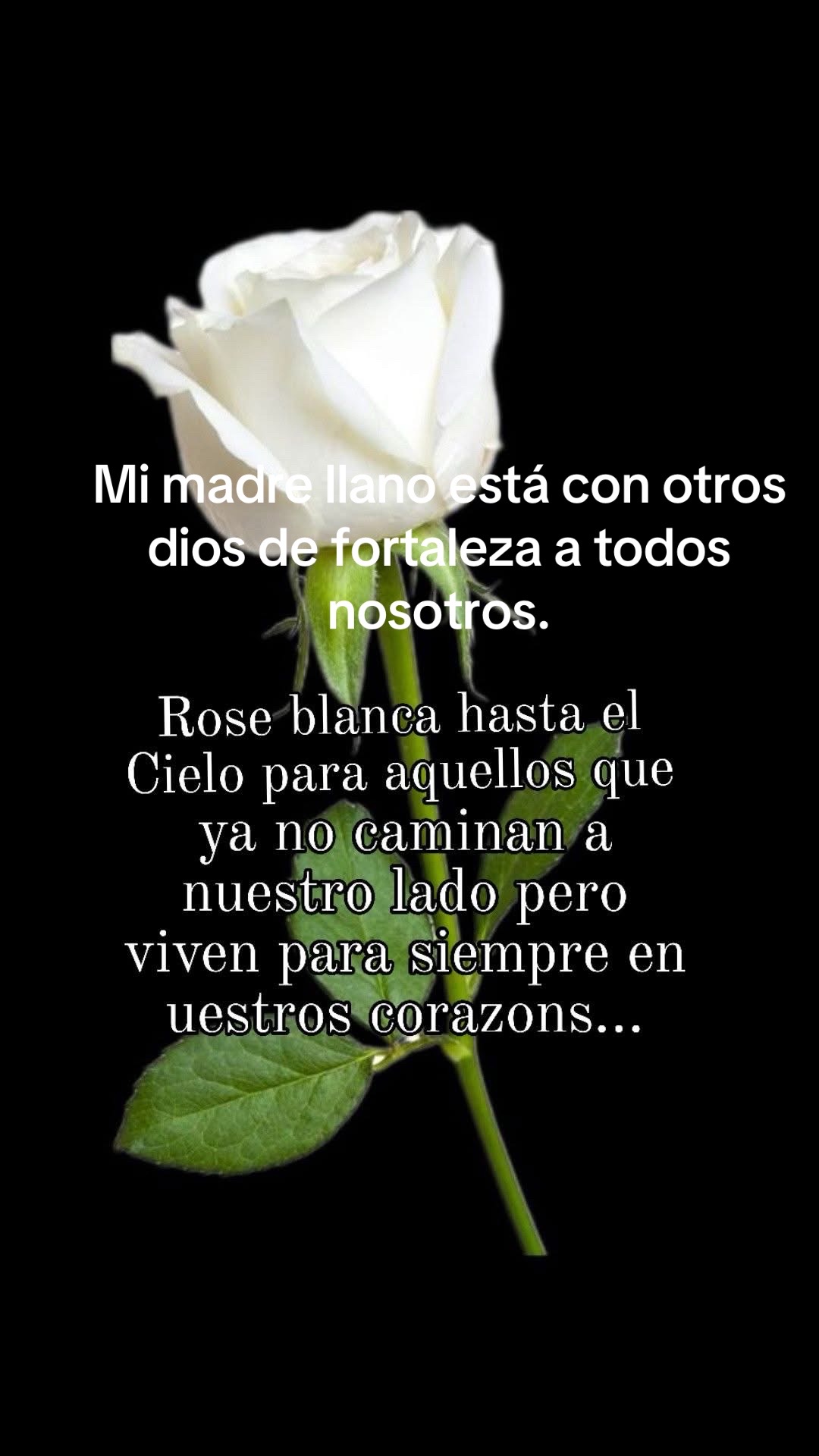 @🌏🕊Olga 🌏🕊Melgares 🌏🕊🐚