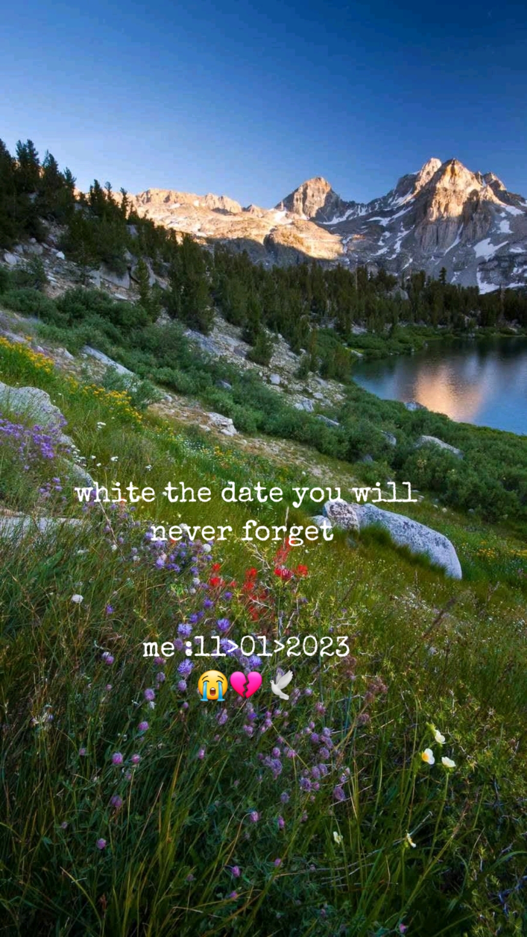 @kokiey❤️🩹☯️