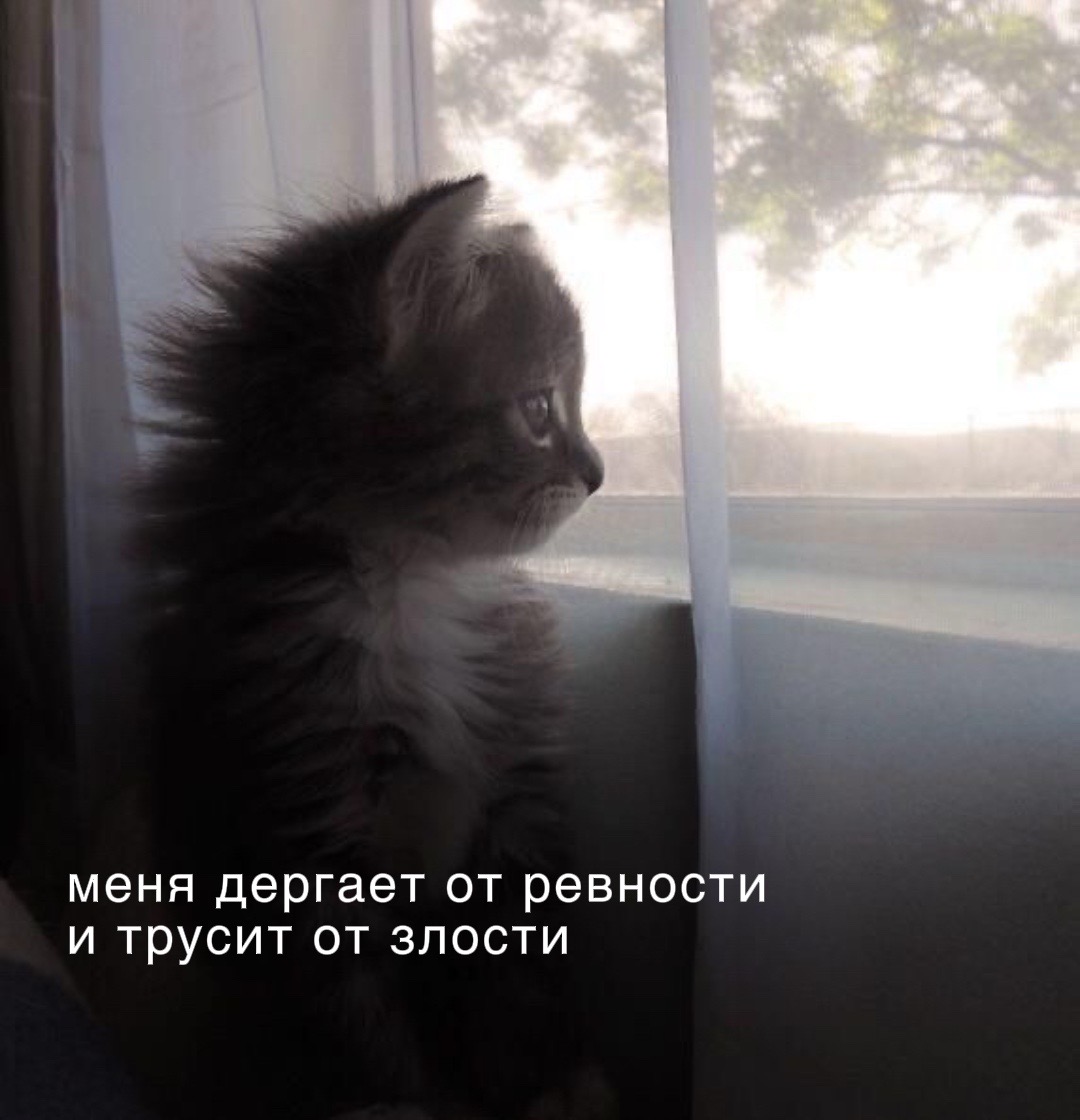 @ebanashka໒꒰ྀི ˶• ༝ •˶ ྀི১