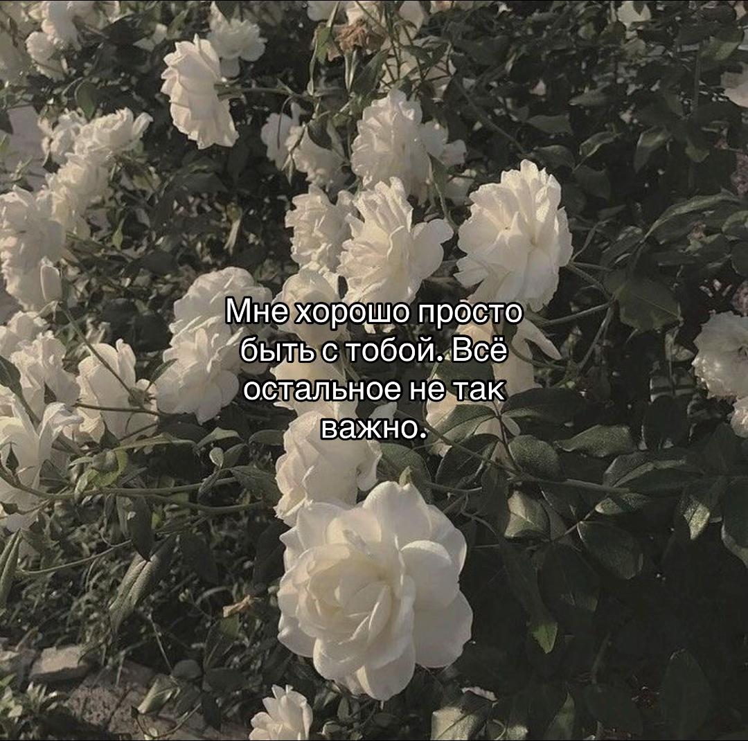 @_alheart