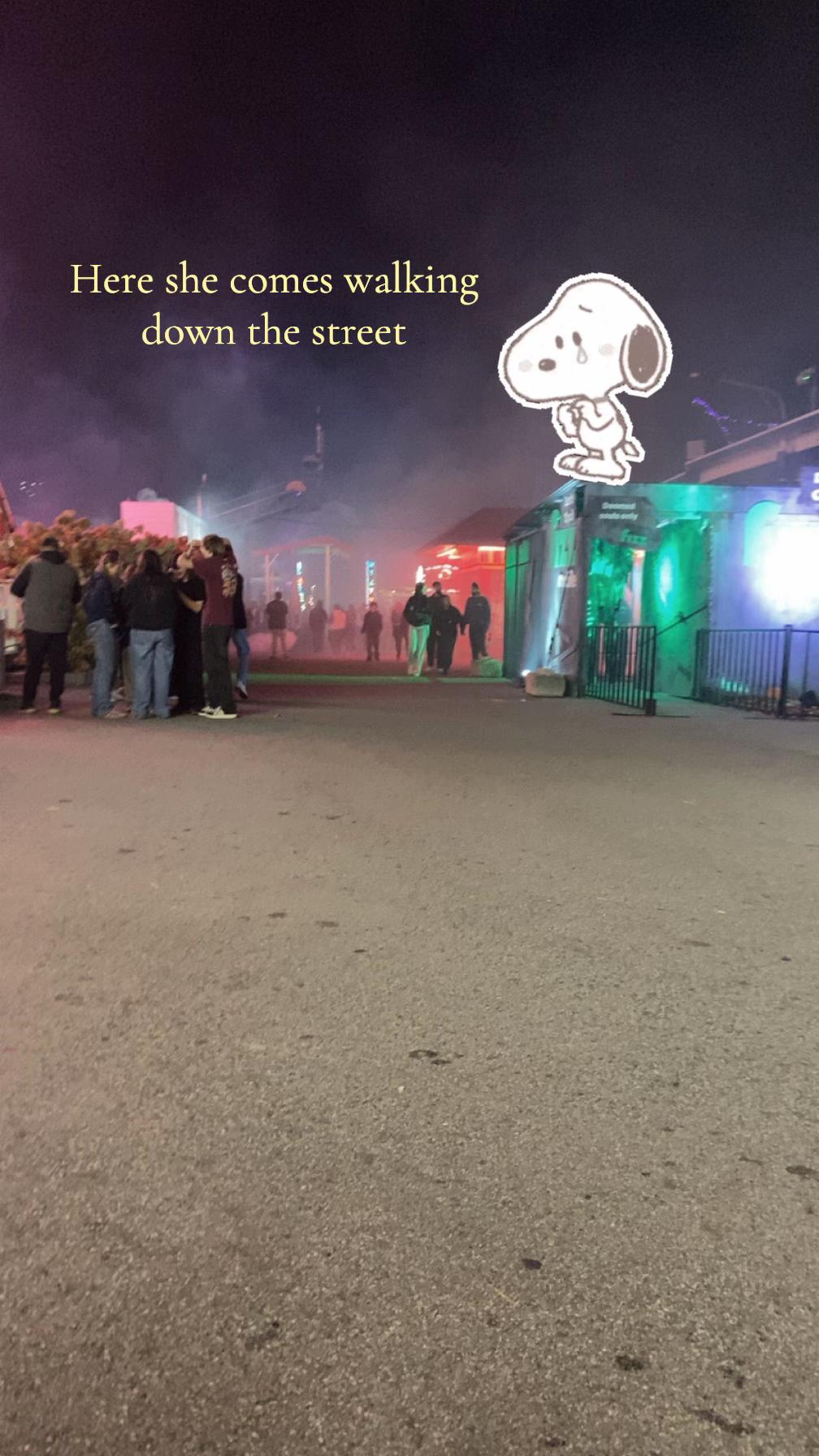 @🦭