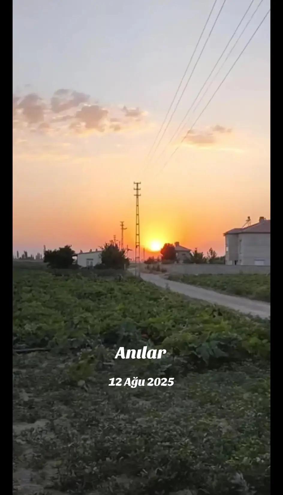 @Mustafa Pilis