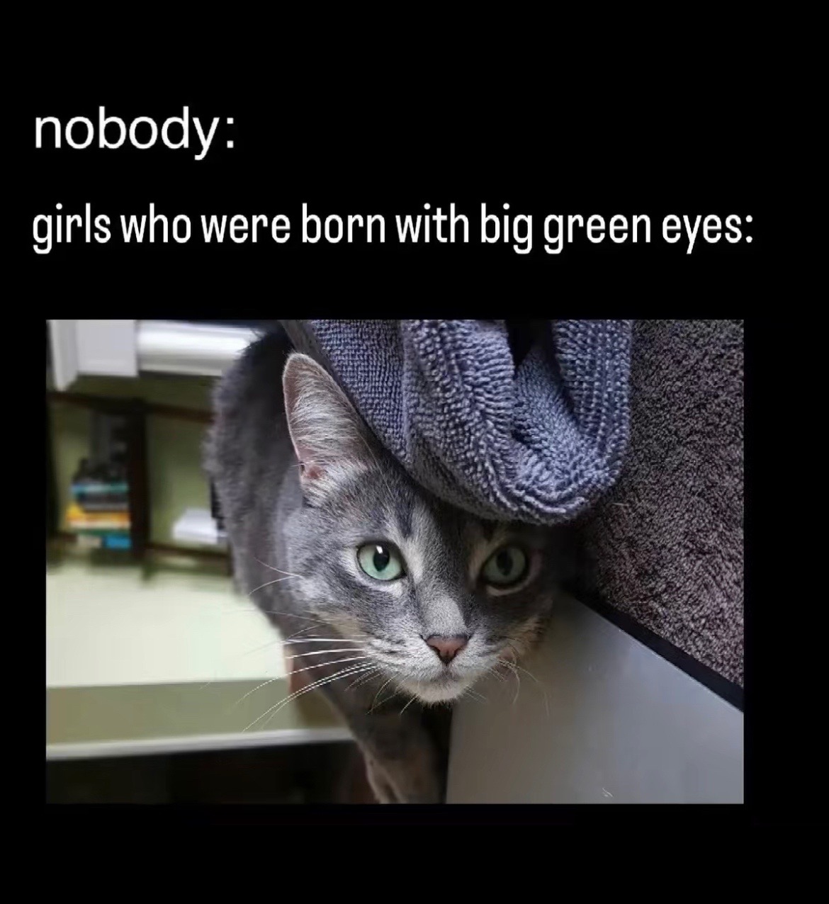 @gigi elizabeth
