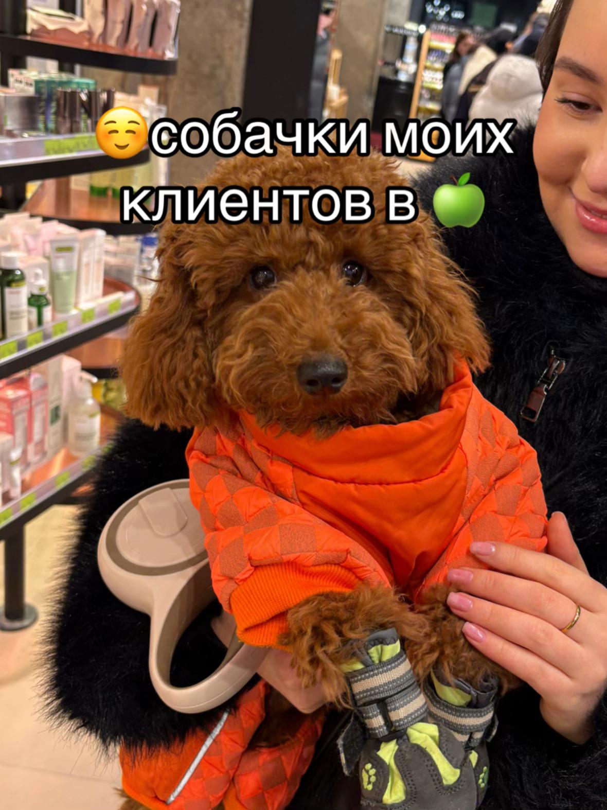 @улька