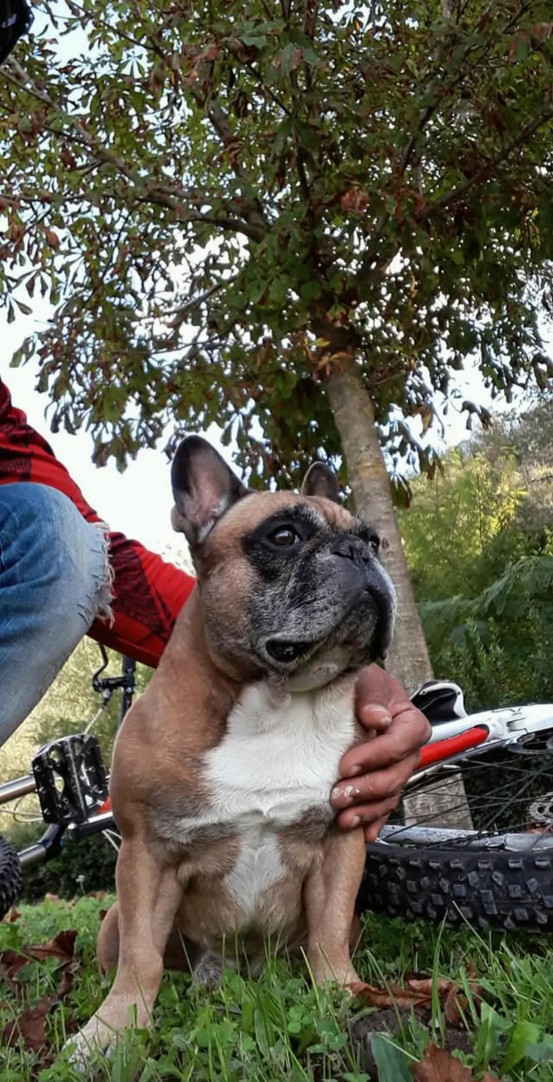 @Pergliamici Ciccio