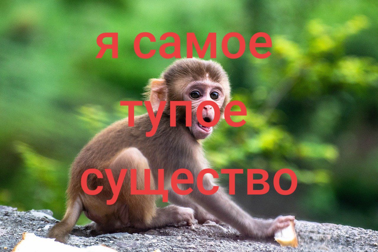 @Itz_Real_Me