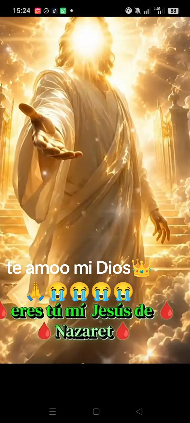 @@adela Navarro