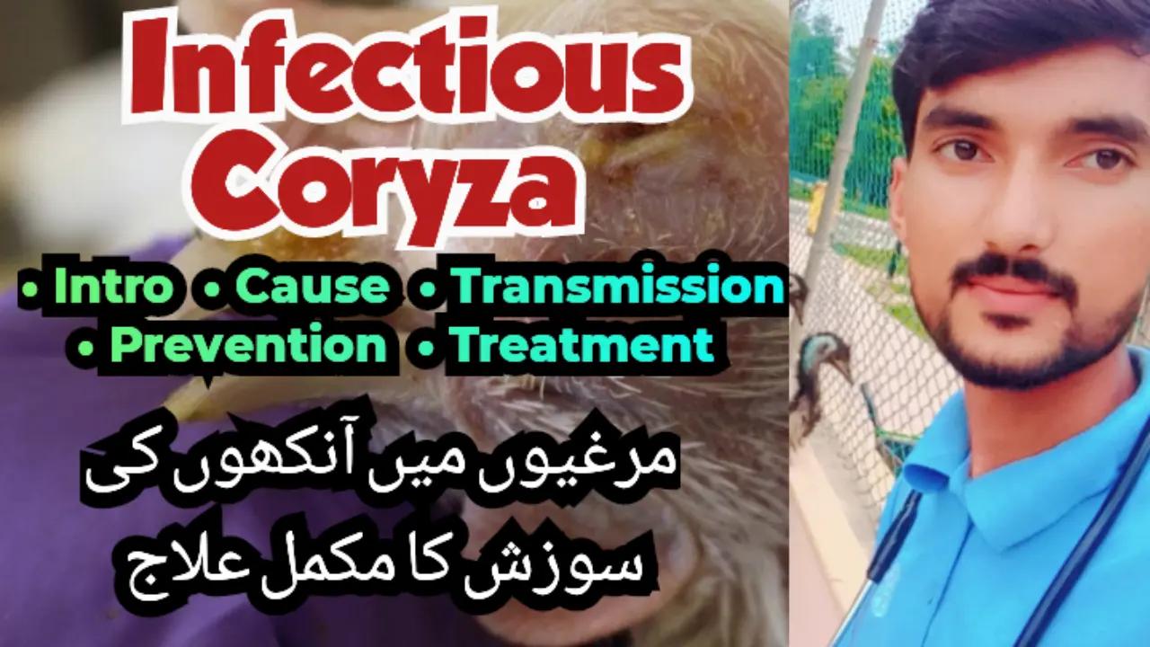 @Dr Abdullah