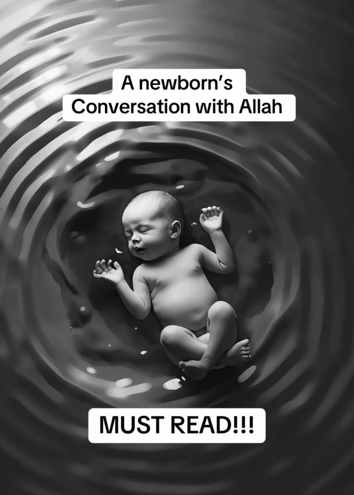 @halaltalks1