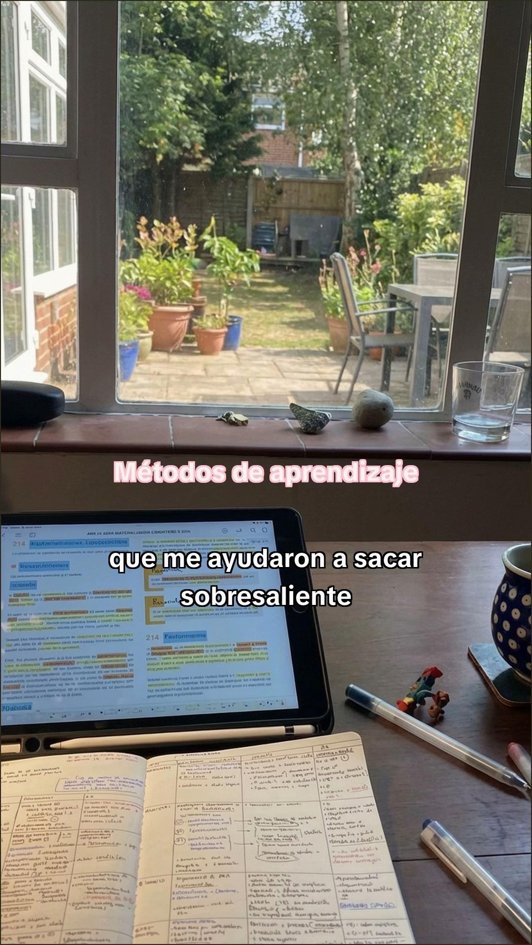 @Estudiaconmia
