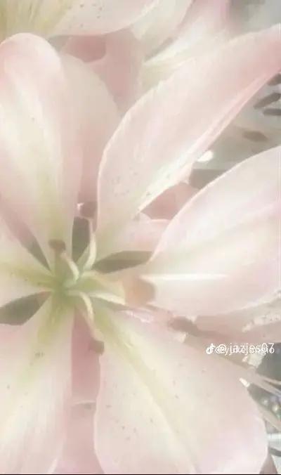 @๐งโ๐ฏ๐๐๐๐๐๐ :>