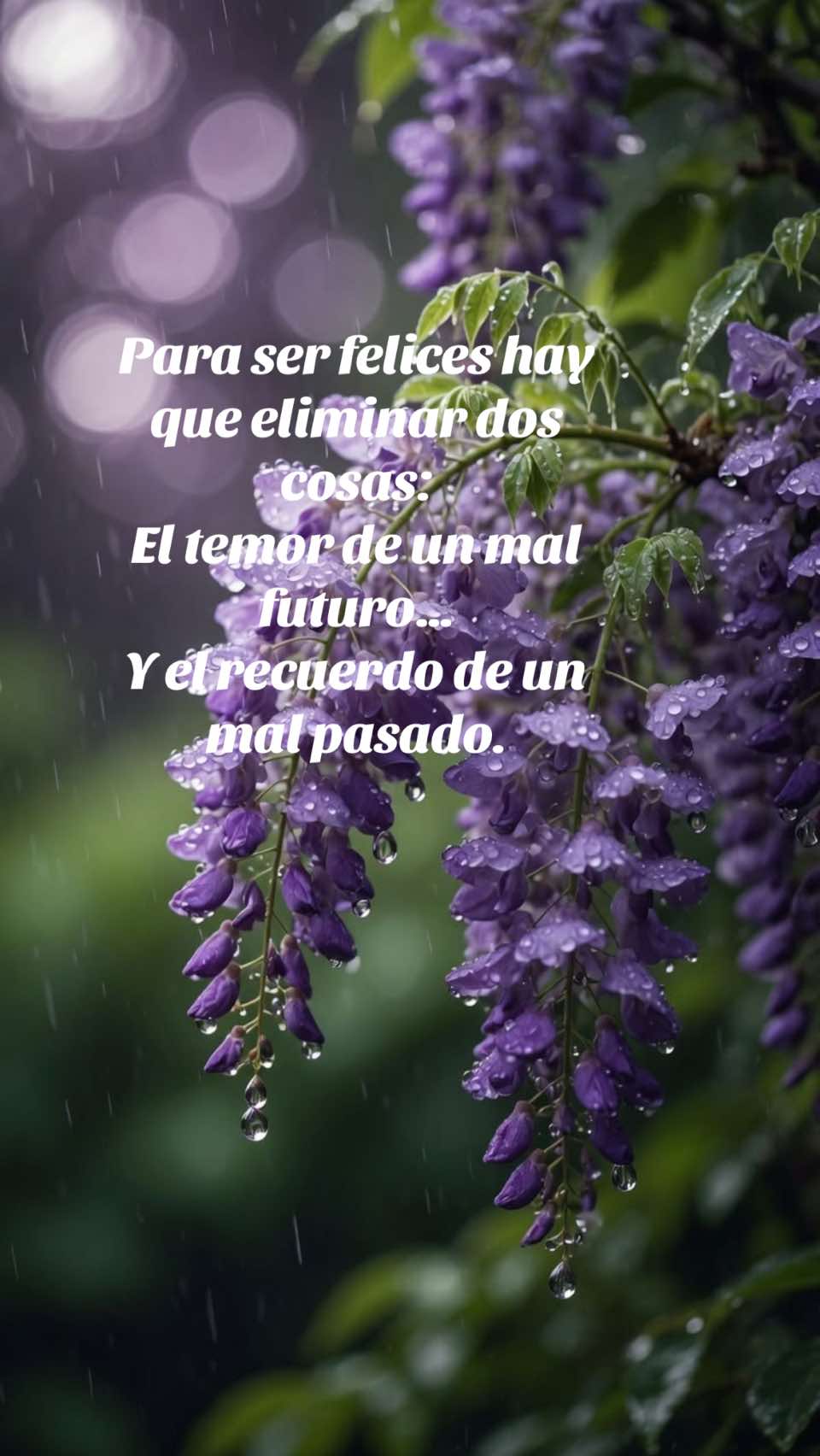 @Gloria María