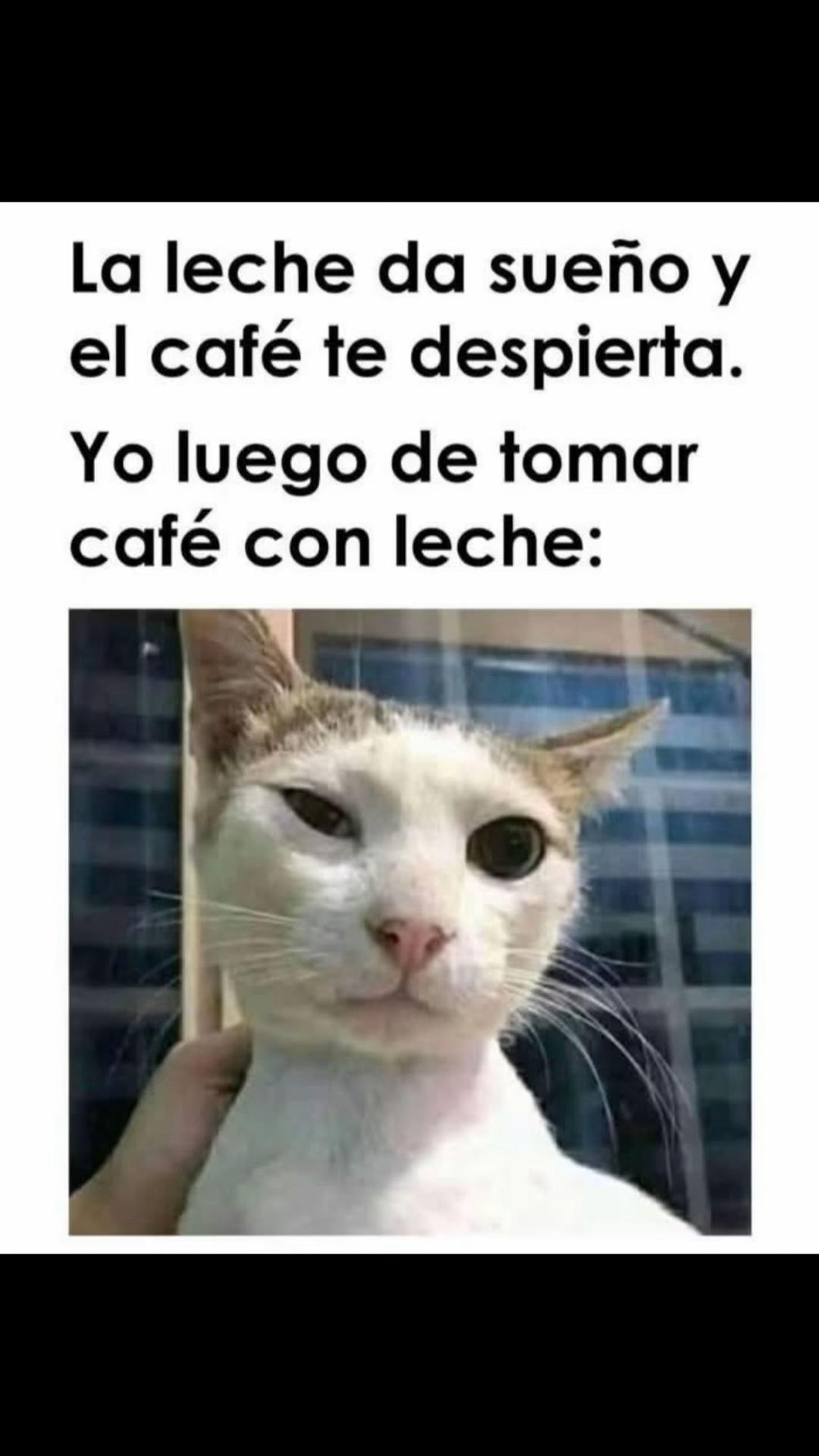 @Joaquin Trujillo