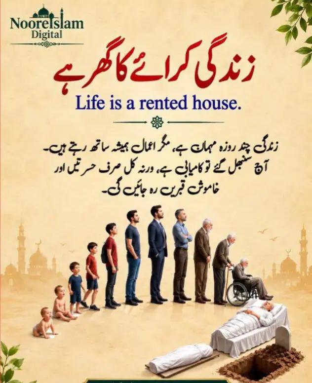 @M Faheem Ahmed