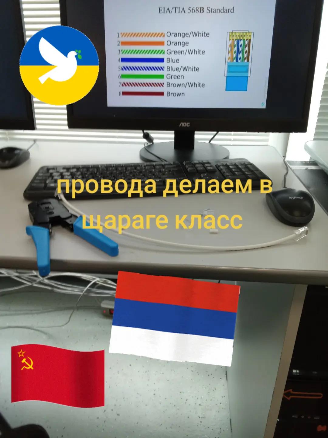 @кабан кузя